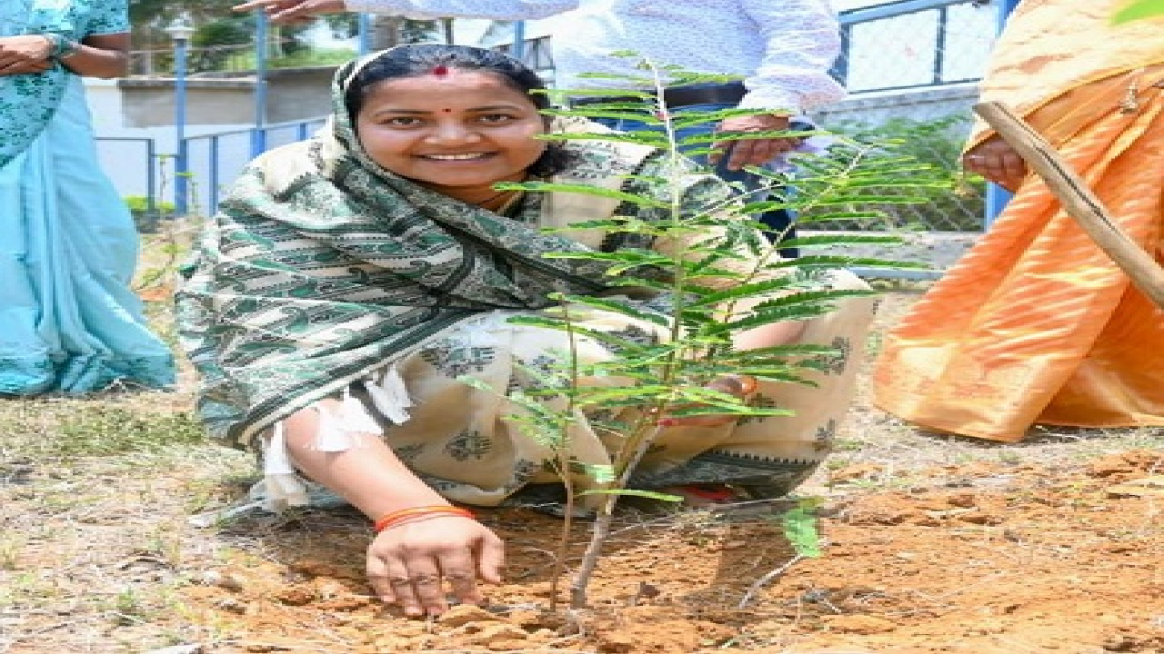 CG : विश्व पर्यावरण दिवस पर मंत्री लक्ष्मी राजवाड़े ने किया पौधरोपण …