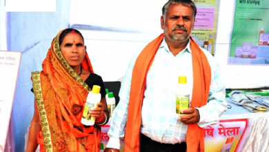 CG : नैनो डीएपी से बदल रही खेती की तस्वीर…